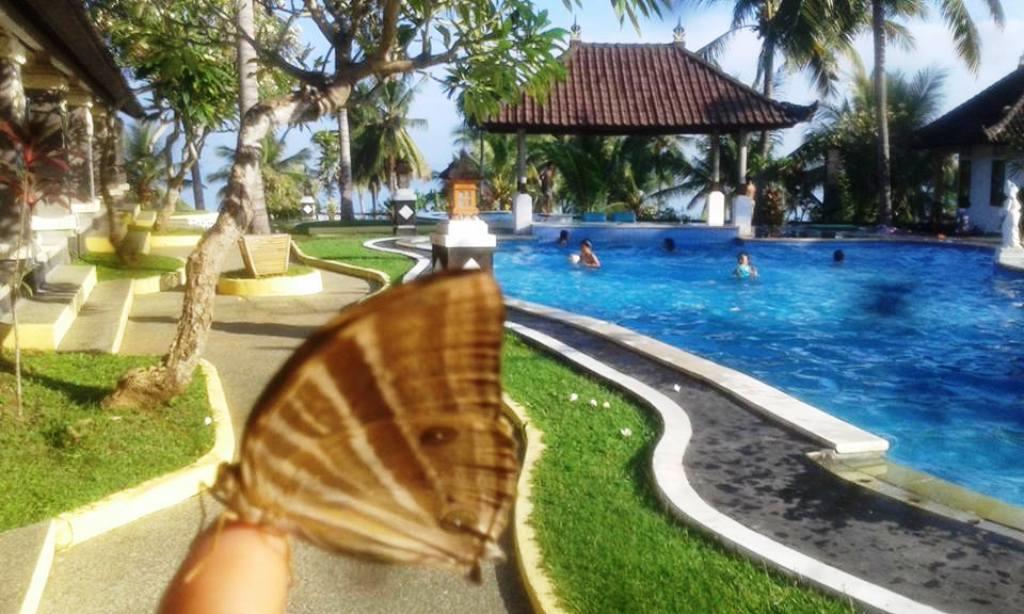 Bali Sunset Hotel Negara  Buitenkant foto